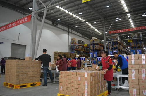 為何您的零售電商品牌亟需專業(yè)三方倉儲物流與貨物倉儲服務(wù)