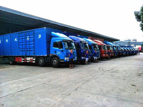 從倉儲到送達(dá) 解析現(xiàn)代物流運(yùn)輸與倉儲服務(wù)的核心構(gòu)成